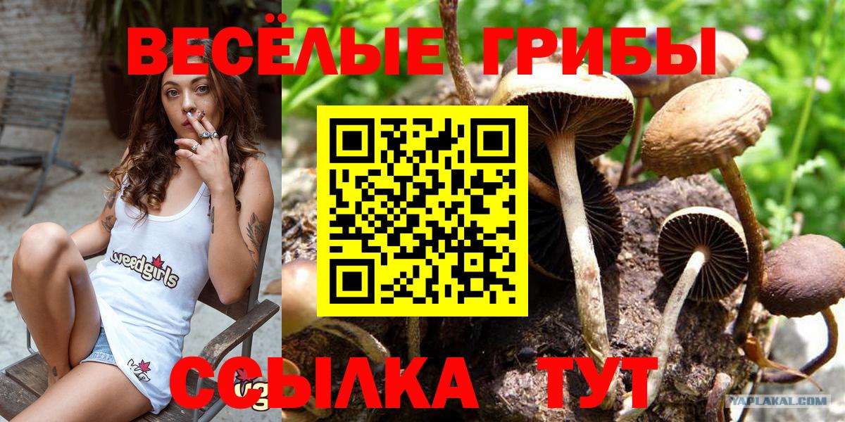 Псилоцибиновые грибы GOLDEN TEACHER Воркута